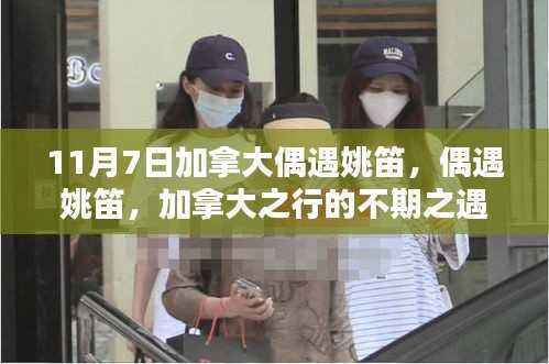 加拿大之行中的姚笛不期之遇，11月7日的惊喜邂逅