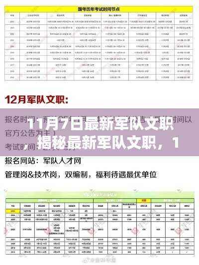 揭秘最新军队文职,机遇与挑战并存,11月7日最新动态解析