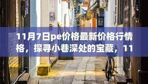 11月7日PE价格行情下的独特小店探寻记，小巷深处的宝藏揭秘