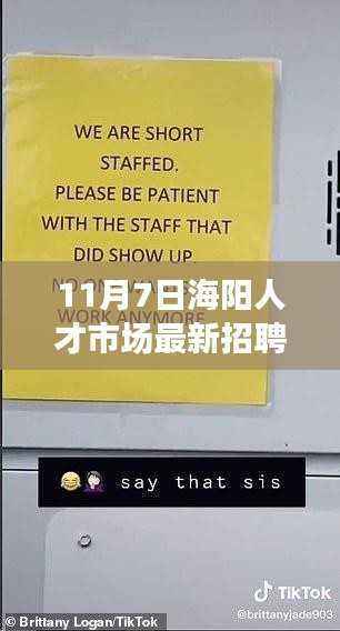 11月7日海阳人才市场最新招聘详解,求职全攻略与成功应聘指南