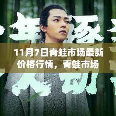 11月7日青蛙市场探秘,价格行情与友情陪伴的温馨故事