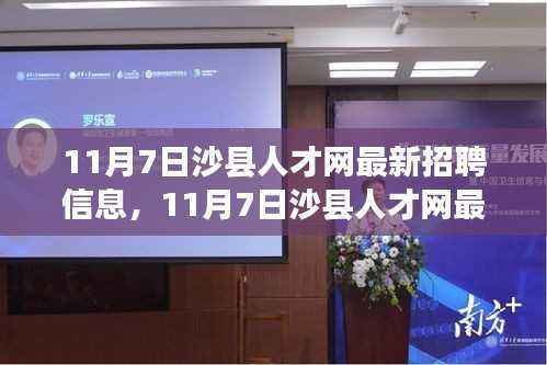11月7日沙县人才网最新招聘信息及应聘全攻略（初学者与进阶用户必看）
