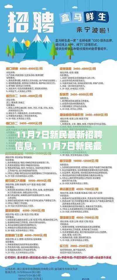 11月7日新民最新招聘信息与招聘启事，变化助力成长，学习铸就自信