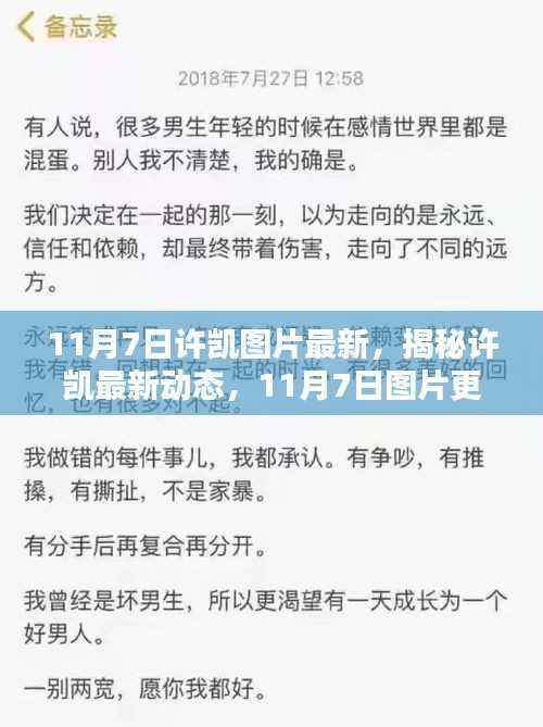 揭秘许凯最新动态,11月7日图片更新与热议焦点