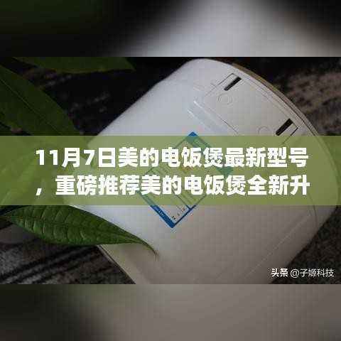 美的电饭煲全新升级,重磅推荐最炫型号带你进入智能烹饪新时代