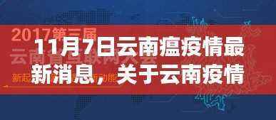 11月7日云南疫情最新消息详解,数据与评测介绍