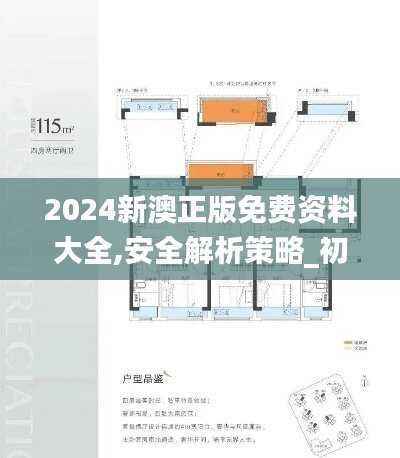 2024新澳正版免费资料大全,安全解析策略_初学版XHE606.13