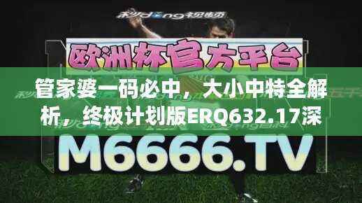 管家婆一码必中，大小中特全解析，终极计划版ERQ632.17深度剖析