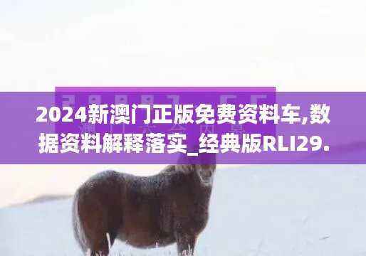 2024新澳门正版免费资料车,数据资料解释落实_经典版RLI29.4