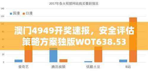 澳门4949开奖速报,安全评估策略方案独版WOT638.53