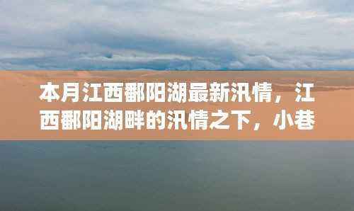 江西鄱阳湖汛情下的独特风情与最新汛况报告