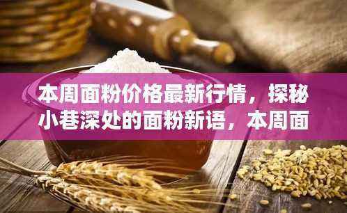 探秘面粉行情与隐藏版特色小店，小巷深处的面粉新语本周行情报道