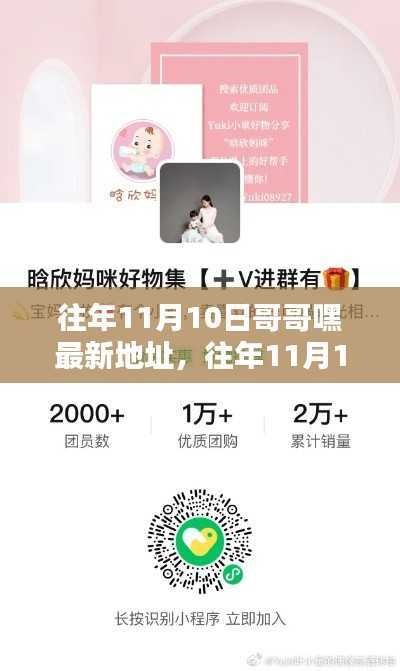 往年11月10日哥哥嘿最新地址,全面评测与详细介绍