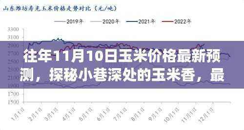 探秘小巷深处的玉米香与美食宝藏，最新玉米价格预测报告出炉！