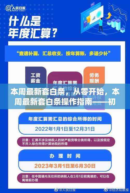 本周最新套白条操作指南，从入门到进阶的通用教程