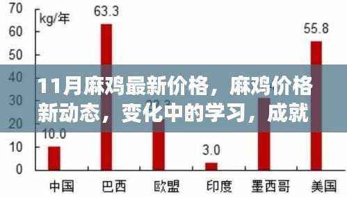 麻鸡最新价格动态,变化中的学习助力自信与荣耀的成就
