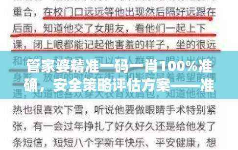 管家婆精准一码一肖100%准确，安全策略评估方案——准神OBT434.56