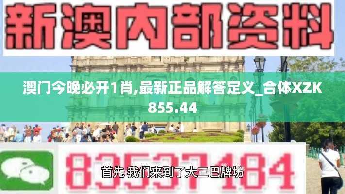澳门今晚必开1肖,最新正品解答定义_合体XZK855.44