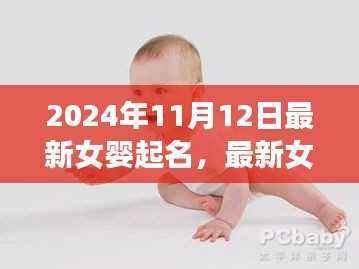 2024年女婴起名指南,全攻略与起名技巧