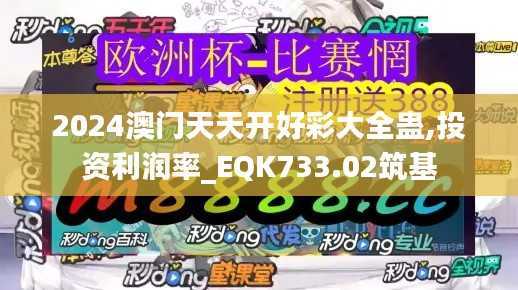2024澳门天天开好彩大全蛊,投资利润率_EQK733.02筑基