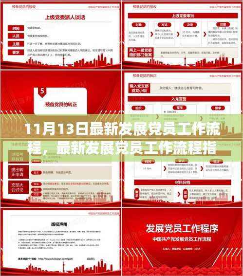 最新发展党员工作流程详解,从初学者到进阶用户的指南