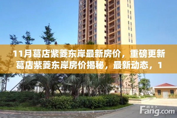 揭秘葛店紫菱东岸最新房价走势,11月房价动态及分析揭秘!
