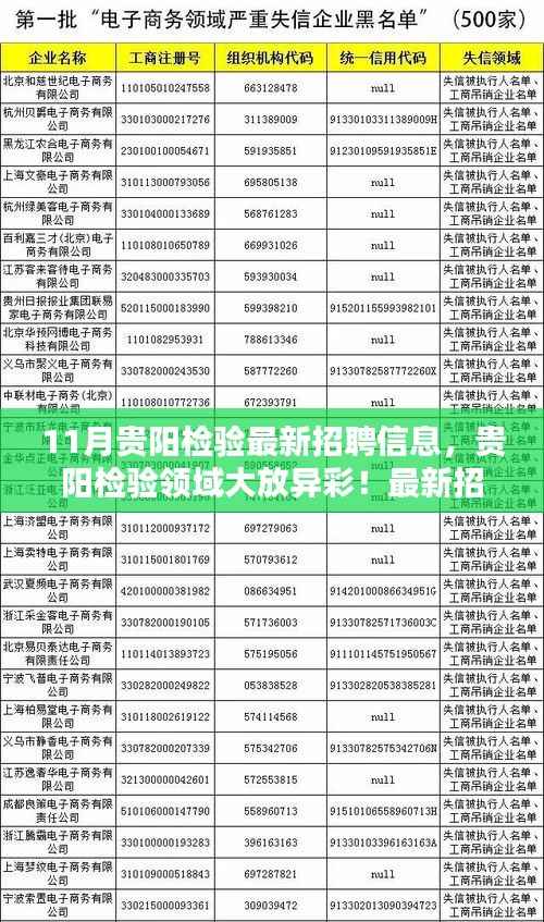 贵阳检验领域新机遇,最新招聘信息汇总,把握职业发展风向标!