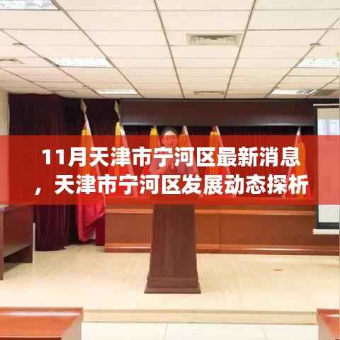 天津市宁河区发展动态最新探析,聚焦正反观点与个人立场分析