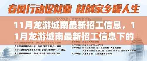 深度解析，龙游城南地区最新招工信息下的就业选择与观点