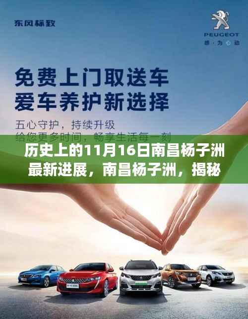 揭秘南昌杨子洲自然美景之旅最新进展，启程寻找宁静与和谐的新篇章（历史视角下的最新进展）