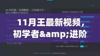 初学者与进阶用户必备,11月王最新视频学习教程,掌握新技能的步骤指南