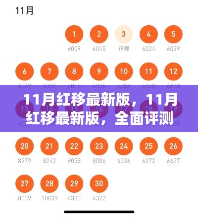 11月红移最新版全面评测与深度介绍