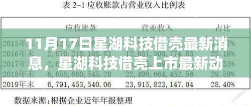 揭秘星湖科技借壳上市最新动态，重磅消息揭秘，最新消息一览（11月17日）
