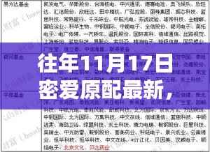 往年11月17日密爱原配回顾,背景、影响与时代印记