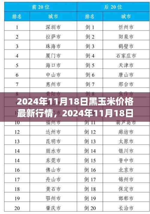 2024年11月18日黑玉米价格行情及市场走势分析与预测