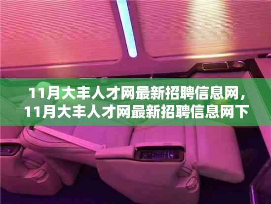 11月大丰人才网最新招聘信息网,求职机遇与挑战一览