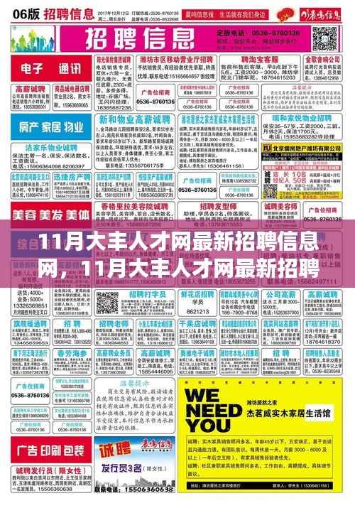11月大丰人才网最新招聘信息网,求职机遇与挑战一览