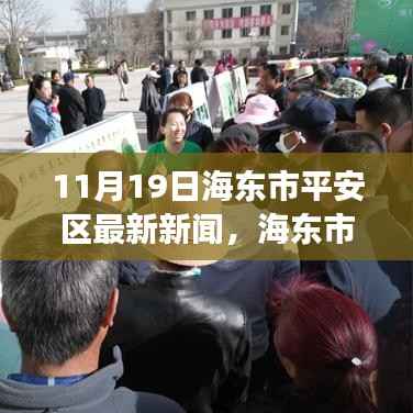 海东市平安区最新动态深度解析,11月19日发展新闻报道