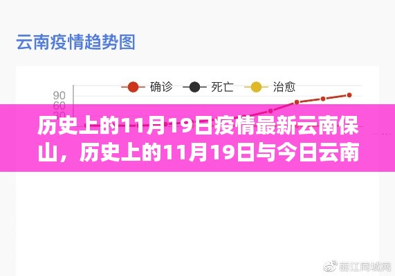 历史与现状交汇,11月19日云南保山疫情真相揭秘,小红书带你深入探索
