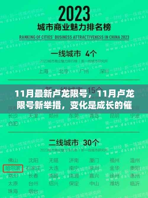 11月卢龙限号新变化，成长催化剂助力自信与成就探寻之路