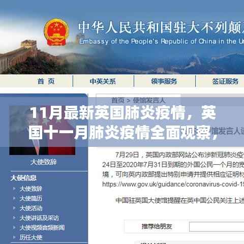 英国十一月肺炎疫情全面观察,背景、进展与影响分析