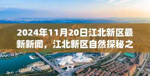 江北新区自然探秘之旅,寻找内心平静的奇妙新闻之旅(2024年11月20日最新消息)
