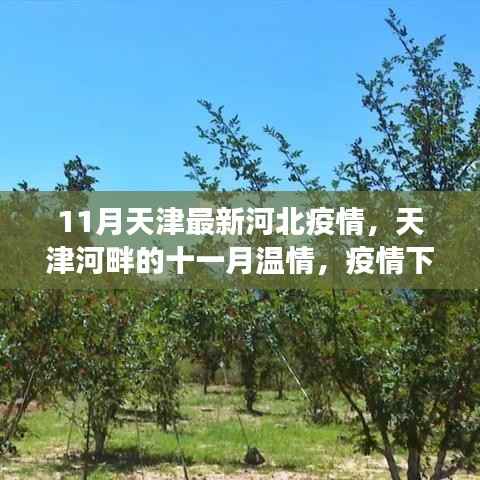 天津河北疫情下的十一月温情,疫情日常趣事与河畔友情的纽带