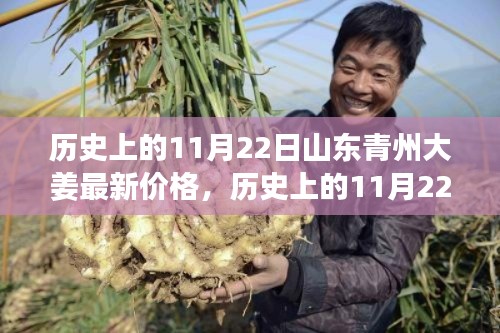 山东青州大姜价格变迁背后的励志故事,历史上的11月22日价格回顾与变迁分析