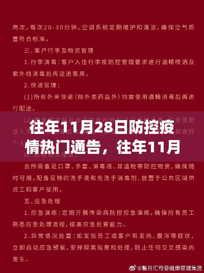 往年11月28日疫情防控通告详解，防疫措施的有效性与实施步骤