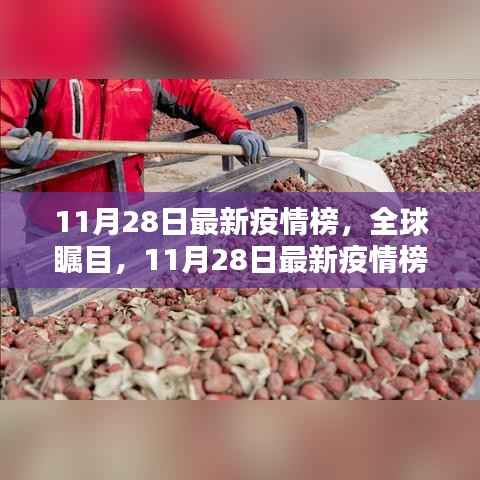 全球瞩目!11月28日最新疫情榜深度解析与数据概览