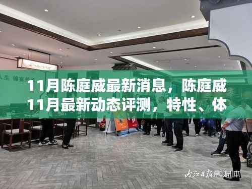 陈庭威最新动态揭秘,11月消息、特性、体验、竞品对比与用户分析