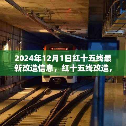 红十五线改造深度解析与观点阐述,最新改造信息(2024年)