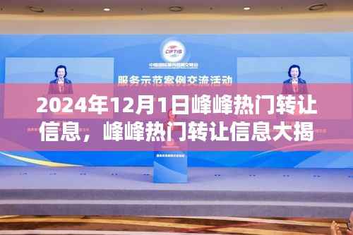 2024年12月1日峰峰热门转让信息精选推荐,揭秘精选不容错过