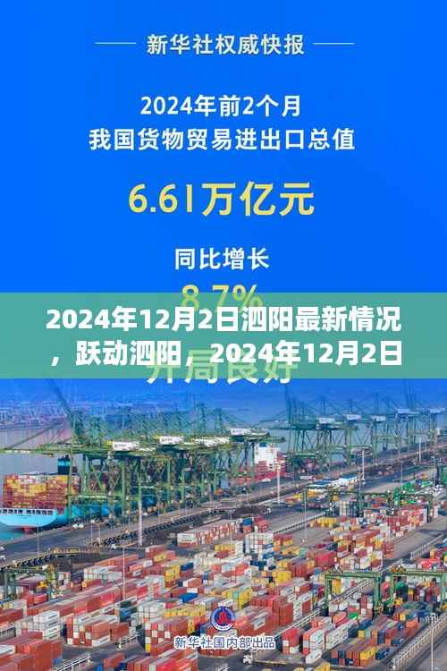 泗阳2024年12月2日最新动态，跃动发展，学习自信，共创未来精彩篇章
